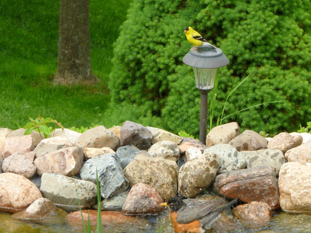Вилла Trickling Waters Retreat Marquette Экстерьер фото