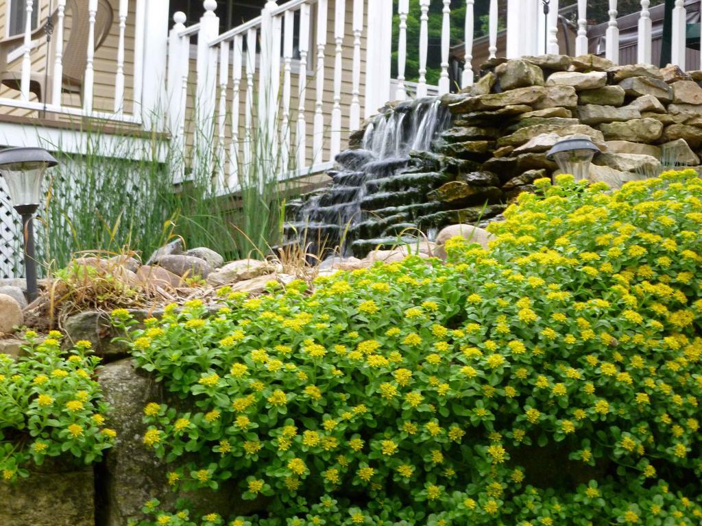 Вилла Trickling Waters Retreat Marquette Экстерьер фото