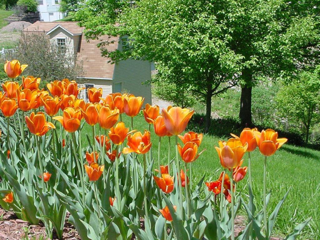 Вилла Trickling Waters Retreat Marquette Экстерьер фото