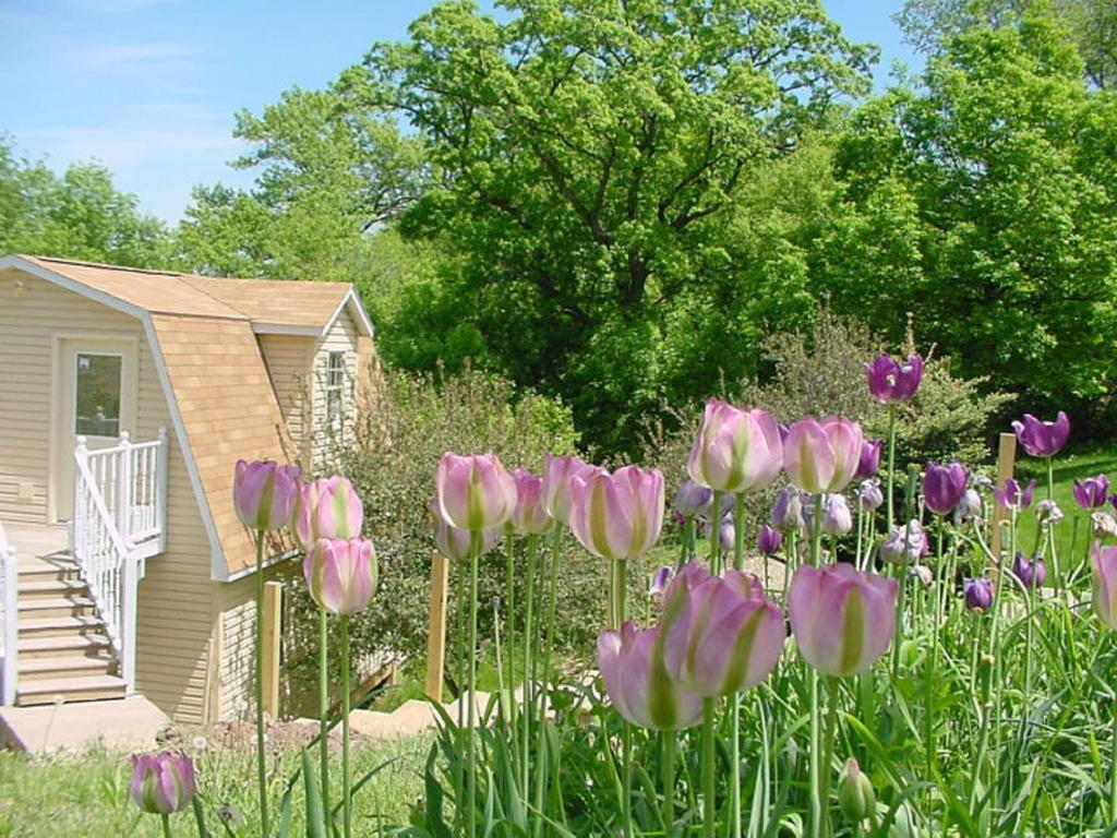 Вилла Trickling Waters Retreat Marquette Экстерьер фото
